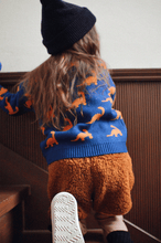 Unisex Dinosaur Sweater, Ae Hem - BubbleChops LLC
